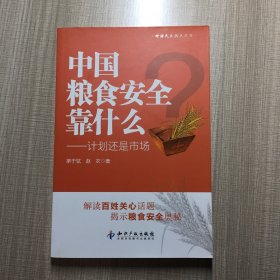 中国粮食安全靠什么：计划还是市场