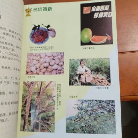 赣南名优特新产品志