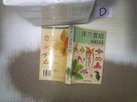 洋兰赏培600问