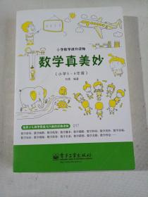 小学数学课外读物：数学真美妙（小学5～6年级）