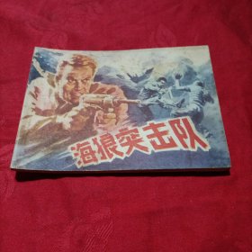 海狼突击队