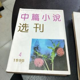 中篇小说选刊    1995年1-6期合售    包快递费