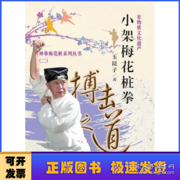 小架梅花桩拳 搏击之道之道 