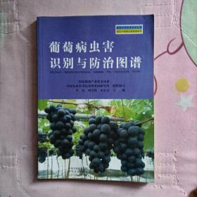 家庭农场实用技术丛书·园艺作物病虫害图谱系列：葡萄病虫害识别与防治图谱