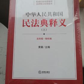 中华人民共和国民法典释义（上中下）