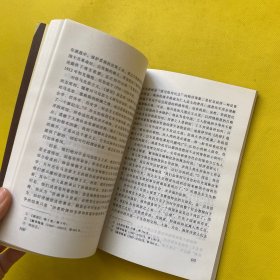 三民主义与中国政治——中国社会科学院青年学者文库/文史系列