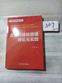 工程咨询理论与实践研究系列丛书：企业项目化管理理论与实践