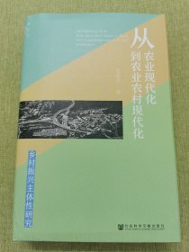 从农业现代化到农业农村现代化(乡村振兴主体性研究)(精)