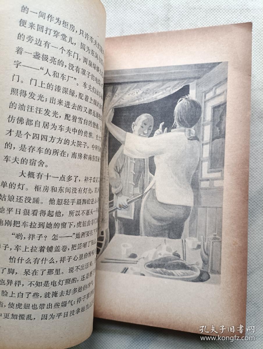 骆驼祥子