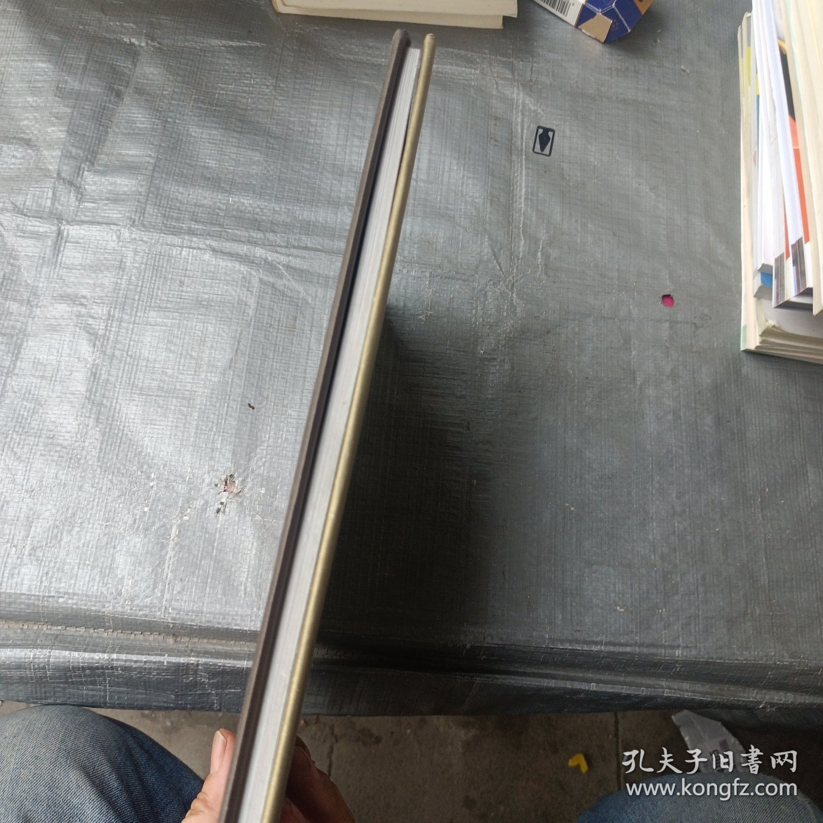 梅兰芳：漫画版梅兰芳插图集