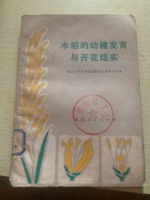 水稻的幼穗发育与开花结实m150