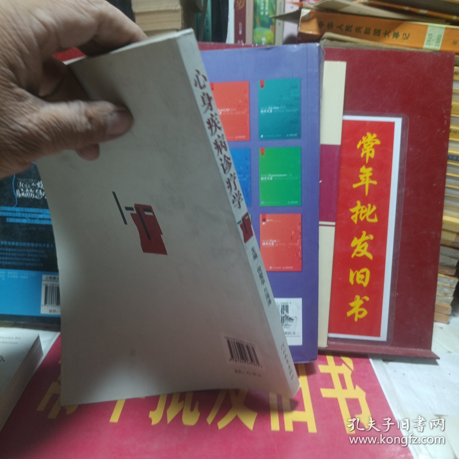 身心疾病诊疗学