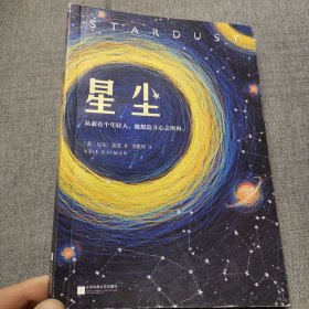 星尘（一部风靡全球的奇幻小说！）