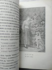中洛辛郡的心脏.