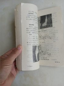 整骨手法图解