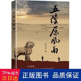 五陵原风雨 官场、职场小说 杜芳川 新华正版