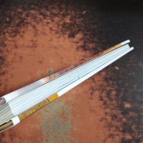 狮心绘意/中新儿童文学原创作品