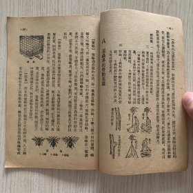 高级小学《自然课本》第二册