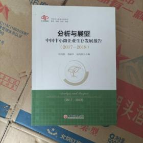 分析与展望：中国中小微企业生存发展报告