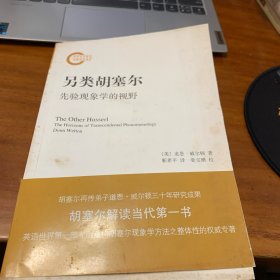 另类胡塞尔：先验现象学的视野