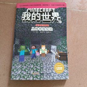 我的世界15：丛林神殿探险/史蒂夫冒险系列