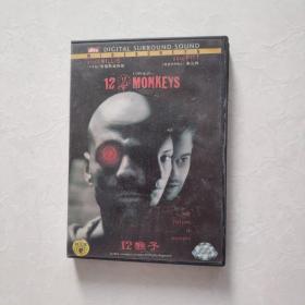 光盘 DVD  12猴子 盒装一碟装