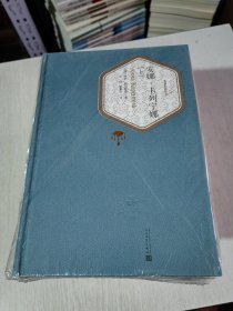 安娜卡列尼娜 上下两册 【未开封】