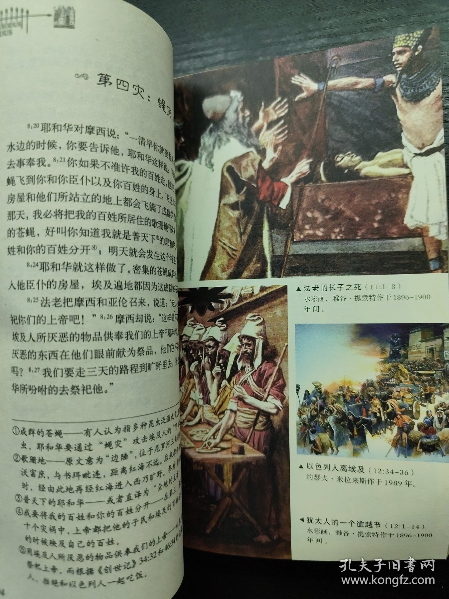 自由与律法之光