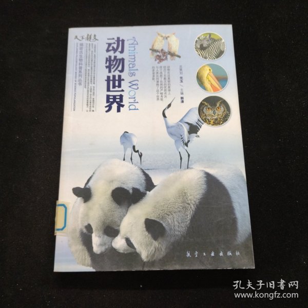 动物世界