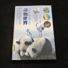 动物世界