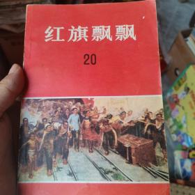 红旗飘飘20
