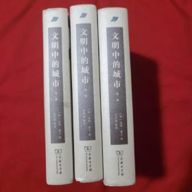 文明中的城市（1--3册）