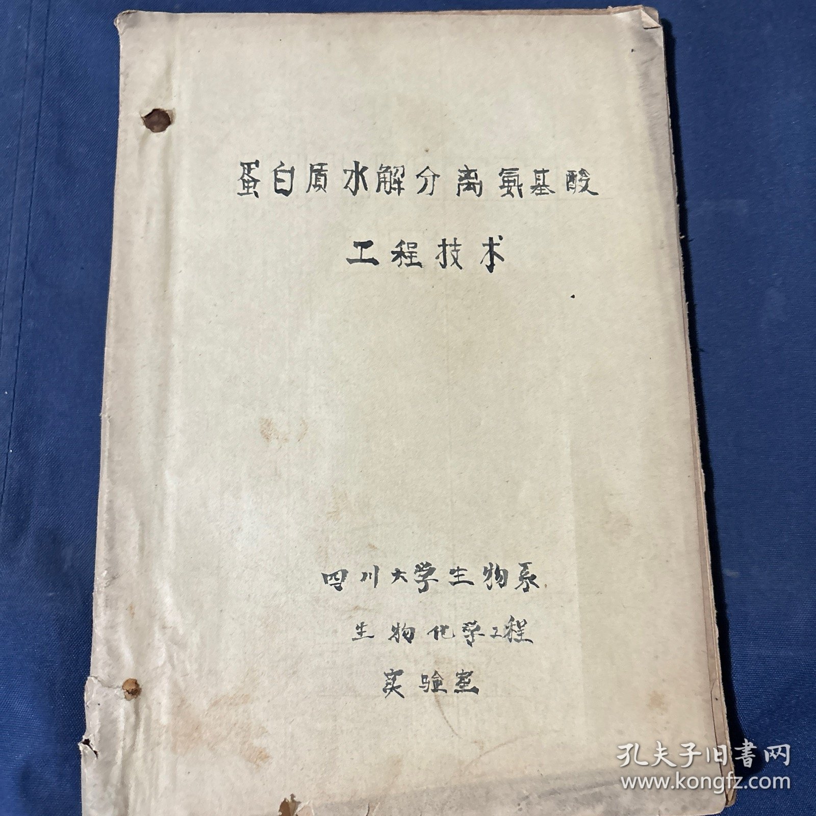 蛋白质水解分离氨基酸工程技术