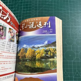 微型小说选刊2008.17-24（8册合售）