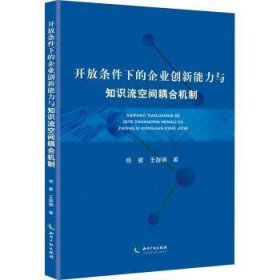 开放条件下的企业创新能力与知识流空间耦合机制