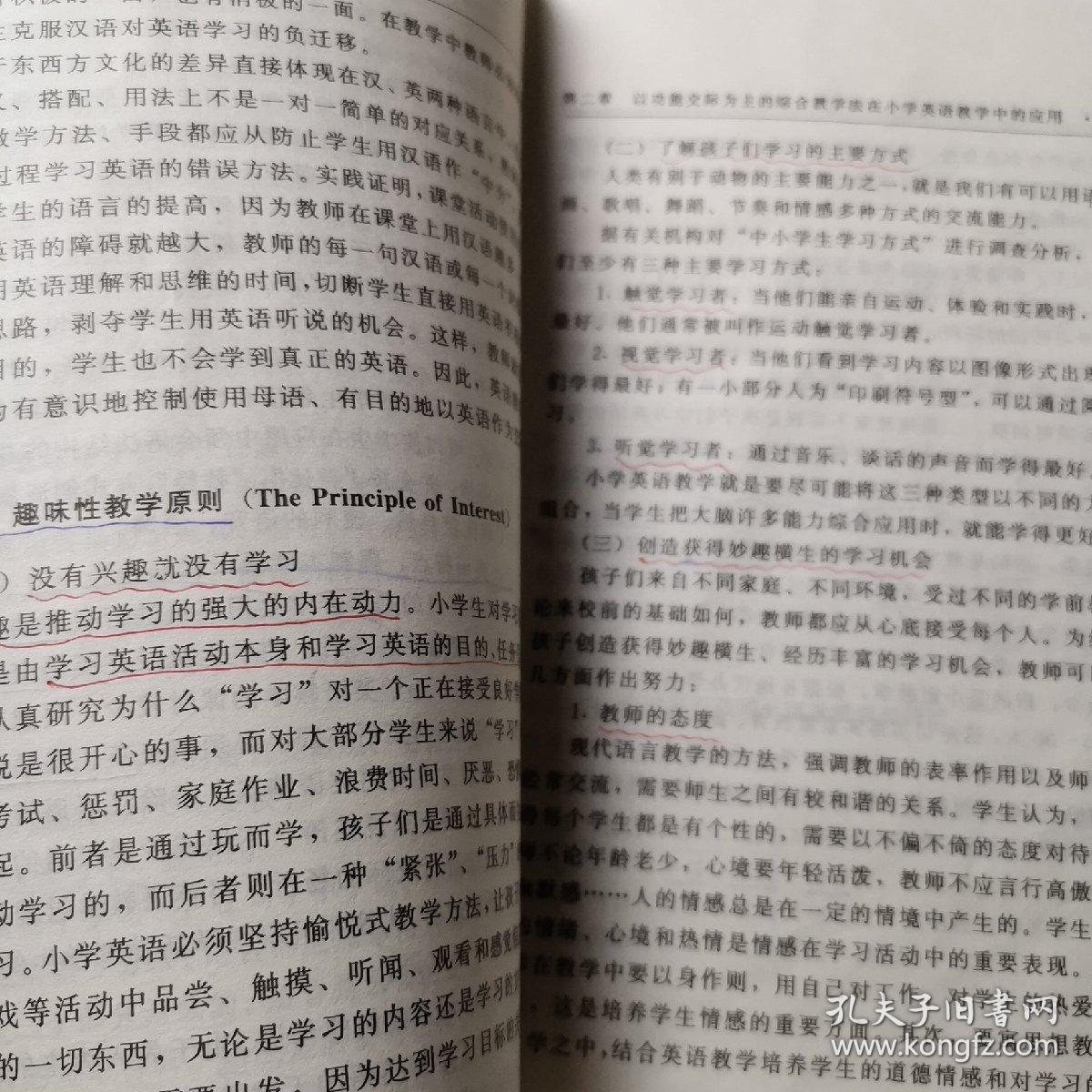 小学英语教学法/小学英语教师继续教育丛书