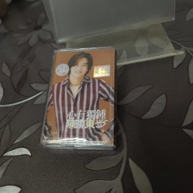 磁带心有独钟 陈晓东