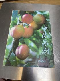 中国果树1991.1