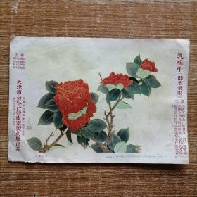 1957年药品宣传画片