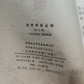 文学评论丛刊 6