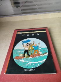 红海鲨鱼