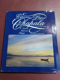 Espacios del lago de Chapala/Carlos Valencia Pelayo