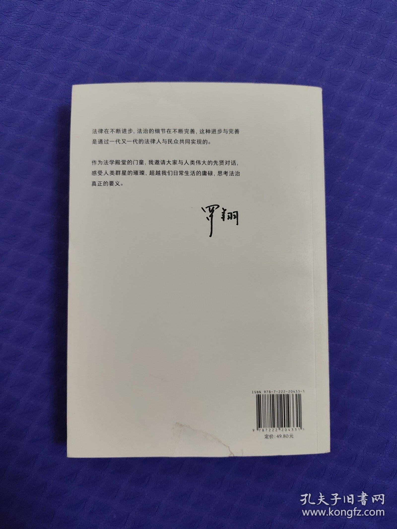 法治的细节