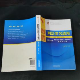 图解刑法罪名适用（第3分册）侵犯公民人身权利、民主权利罪、侵犯财产罪