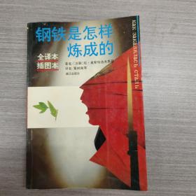 钢铁是怎样炼成的