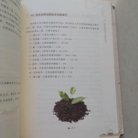 话说茯茶