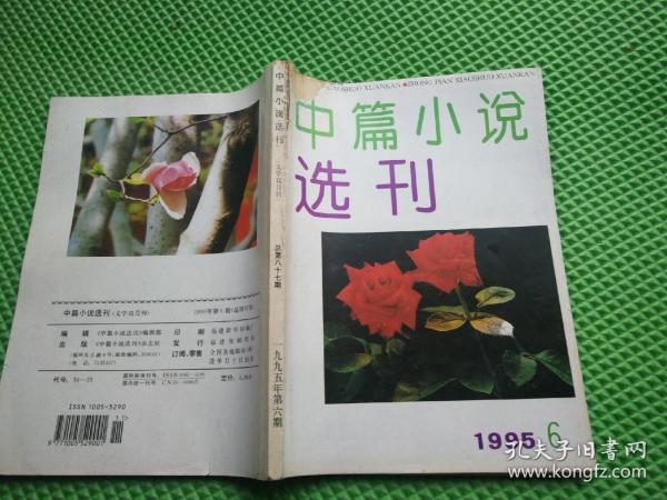 中篇小说选刊 1995年第6期