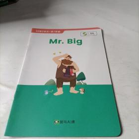 斑马Al课    mr  big