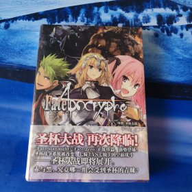 Fate/Apocrypha.1,外典：圣杯大战（史诗般的英灵大战，带你进入不一样的Fate世界）