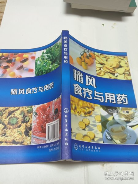 痛风食疗与用药